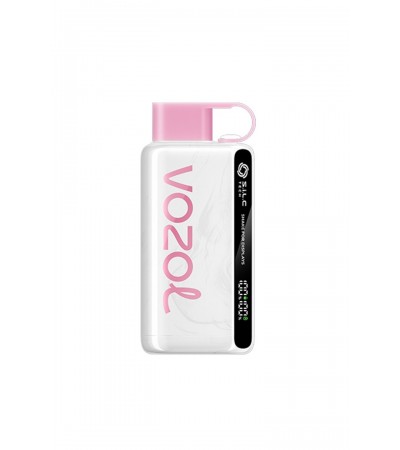 Vozol 12000 Puff Peach İce