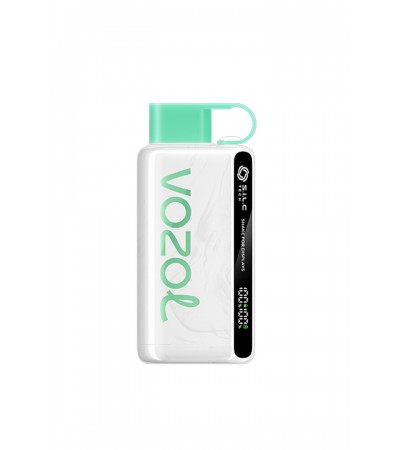 Vozol 12000 Puff Lemon Mint