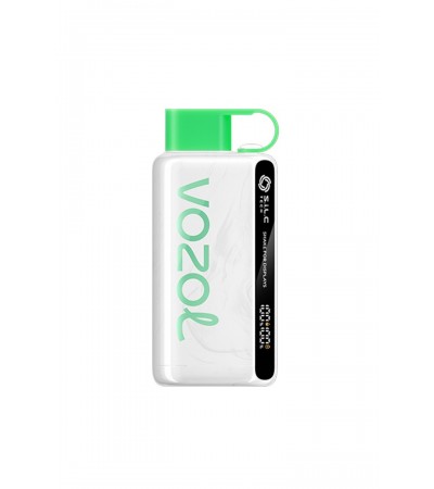 Vozol 12000 Puff Strawberry Watermelon