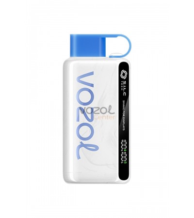 Vozol 12000 Puff Vozol 12000 Puff Blueberry Storm