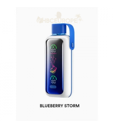 Vozol Star 20000 BLUBERRY STORM